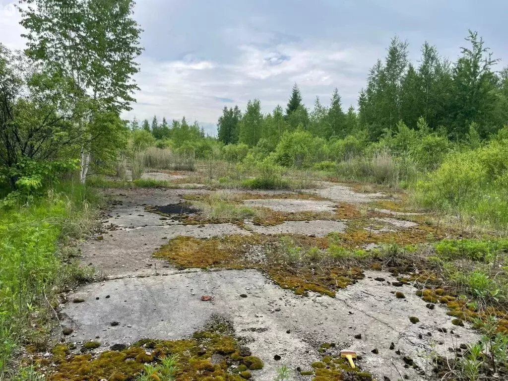 Участок в район им. Лазо, село Кругликово (1000 м) - Фото 1