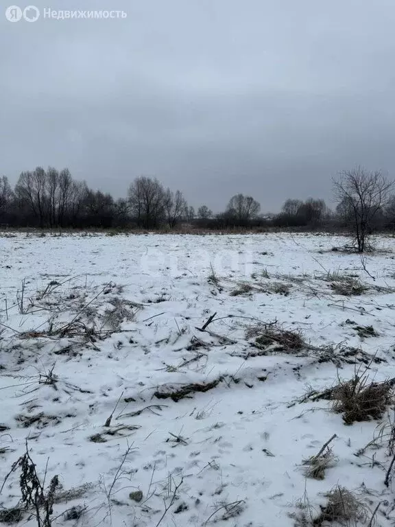 Участок в деревня Суровка, Прибрежная улица (7.5 м) - Фото 2