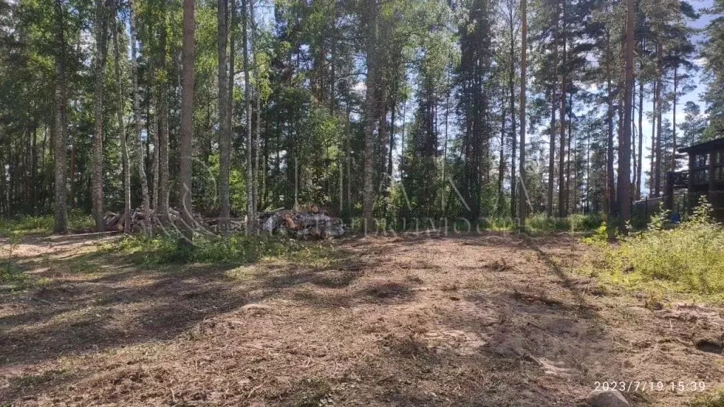 Участок в Ленинградская область, Приозерский район, Петровское с/пос, ... - Фото 1