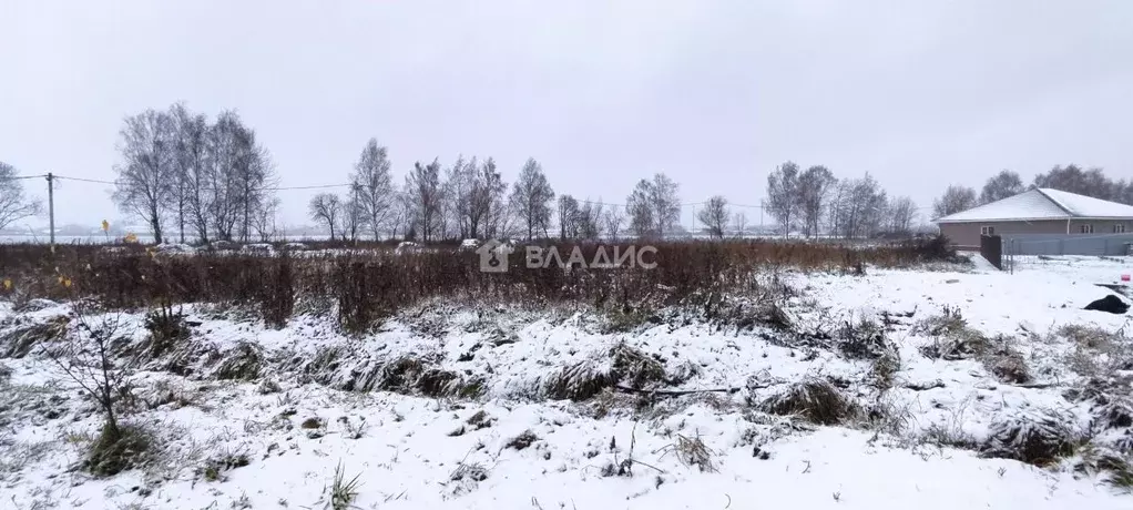 Участок в Владимирская область, Суздальский район, Боголюбовское ... - Фото 0