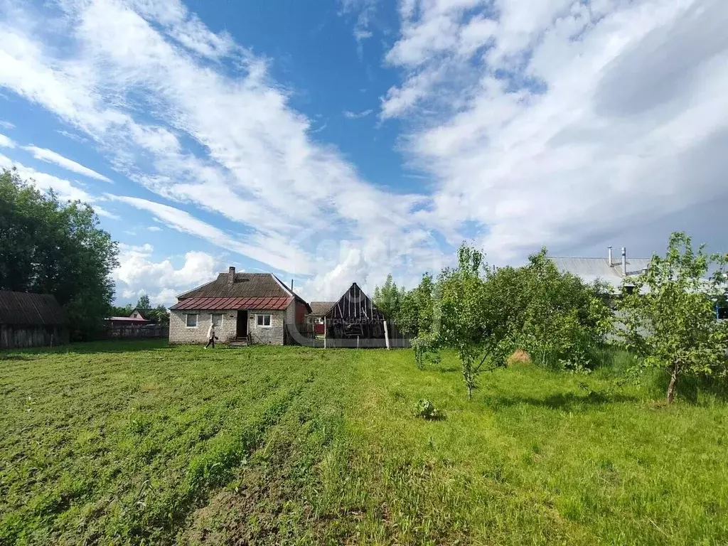 Участок в Рязанская область, Спасский муниципальный округ, с. Панино ... - Фото 1