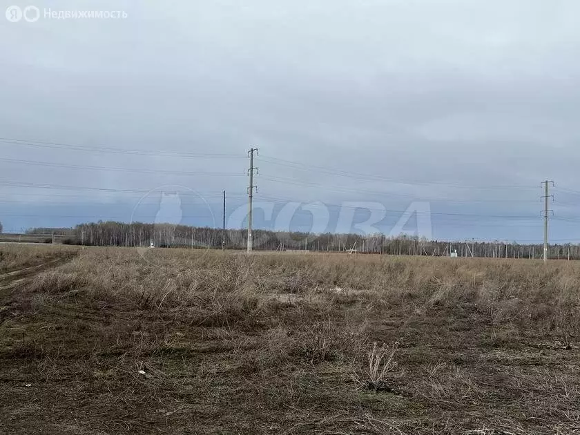 Участок в Тюменский район, деревня Большие Акияры (8 м) - Фото 0