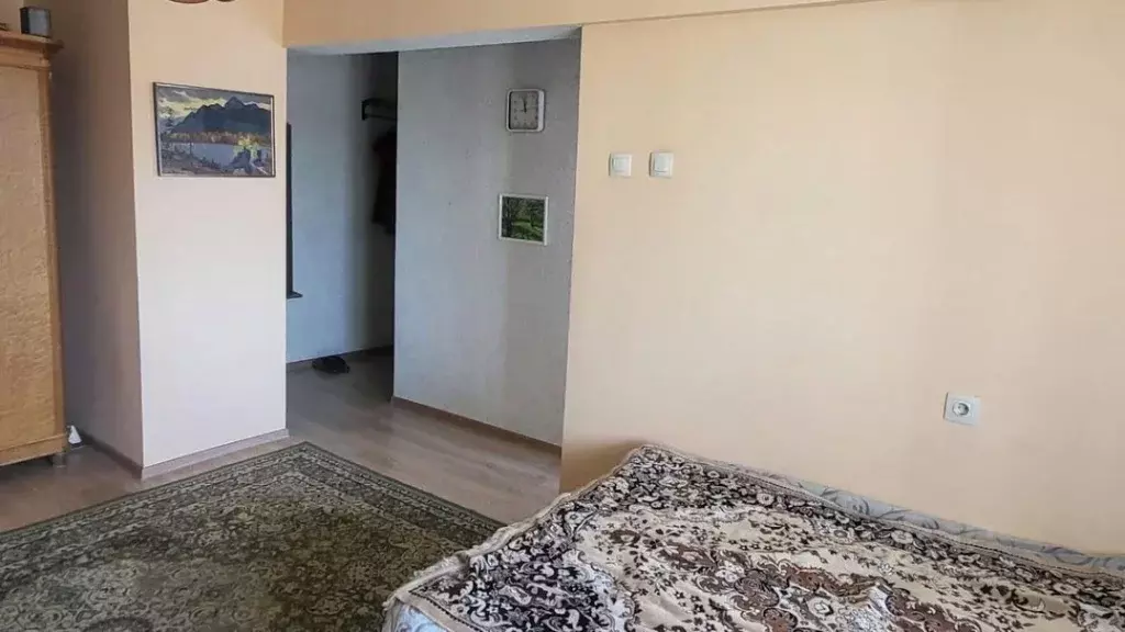 1-к кв. Иркутская область, Иркутск Трудовая ул., 132 (31.0 м) - Фото 0