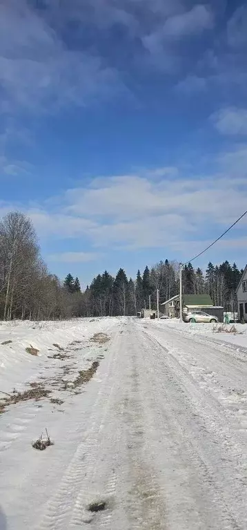 Участок в Ленинградская область, Волосовский район, Рабитицкое с/пос, ... - Фото 0