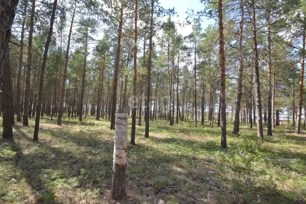 Участок в Саха (Якутия), Якутск Октябрьский округ,  (10.0 сот.) - Фото 0