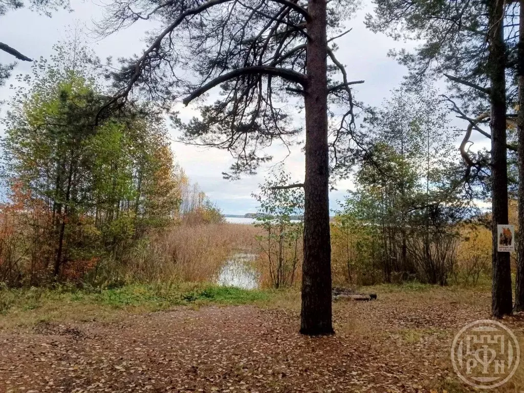 Участок в Ленинградская область, Выборгский район, Красносельское ... - Фото 1