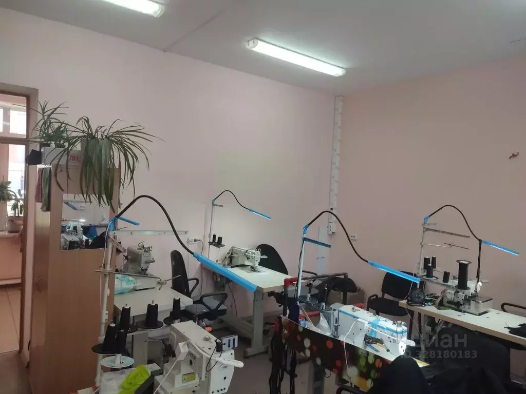 Помещение свободного назначения в Пензенская область, Пенза Окружная ... - Фото 2