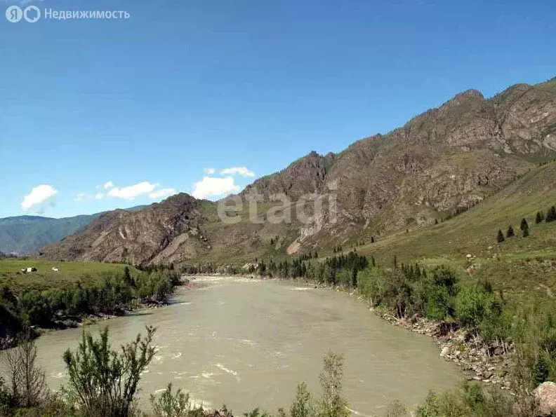 Участок в Онгудайский район, село Шашикман (100 м) - Фото 2