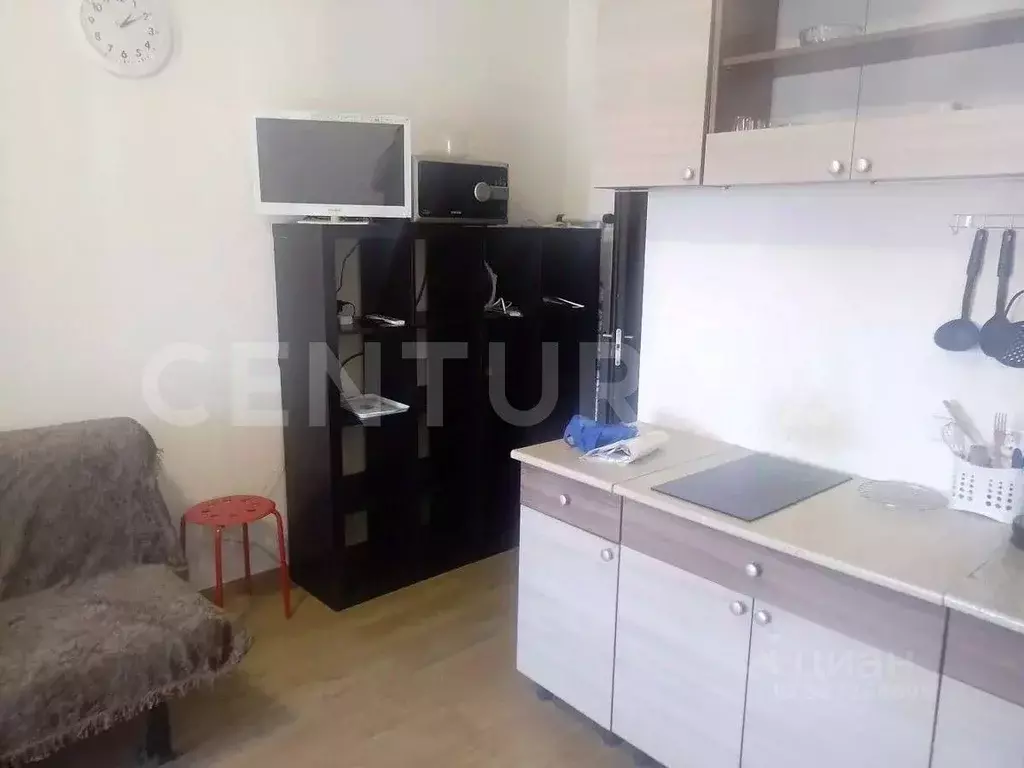 Студия Санкт-Петербург просп. Ветеранов, 169к2 (24.0 м) - Фото 2