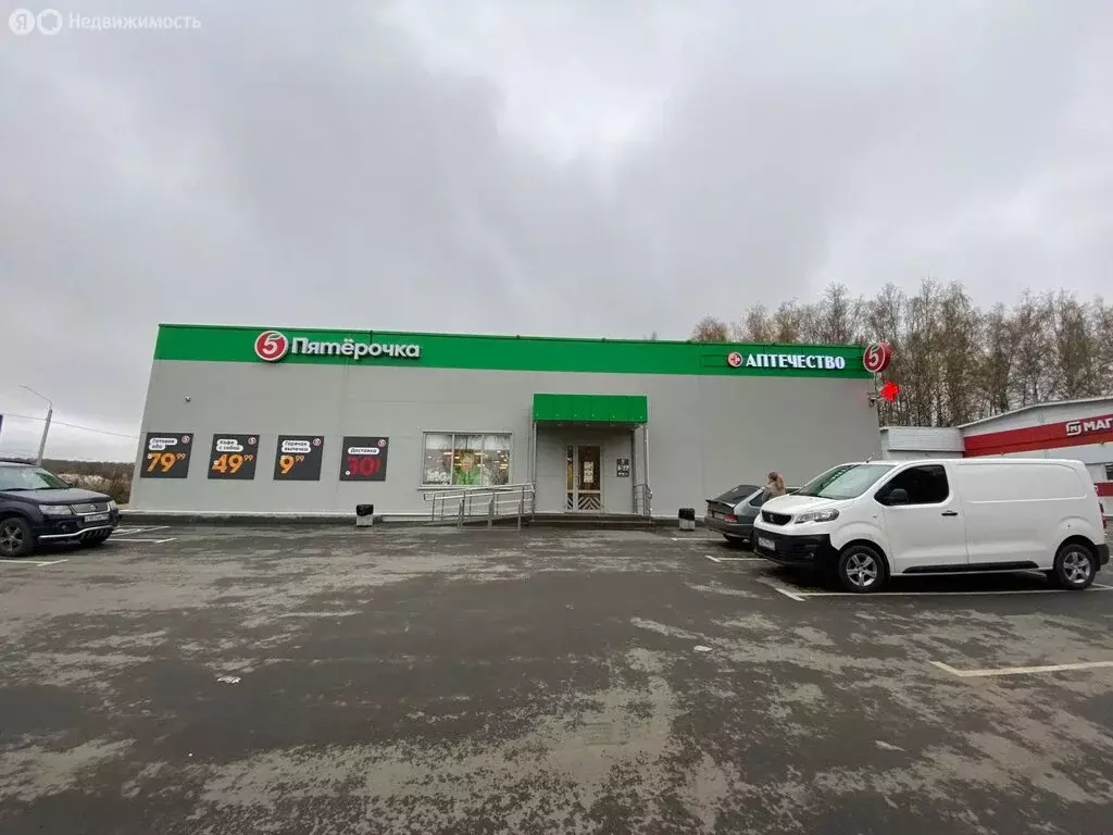 Помещение свободного назначения (106 м) - Фото 2