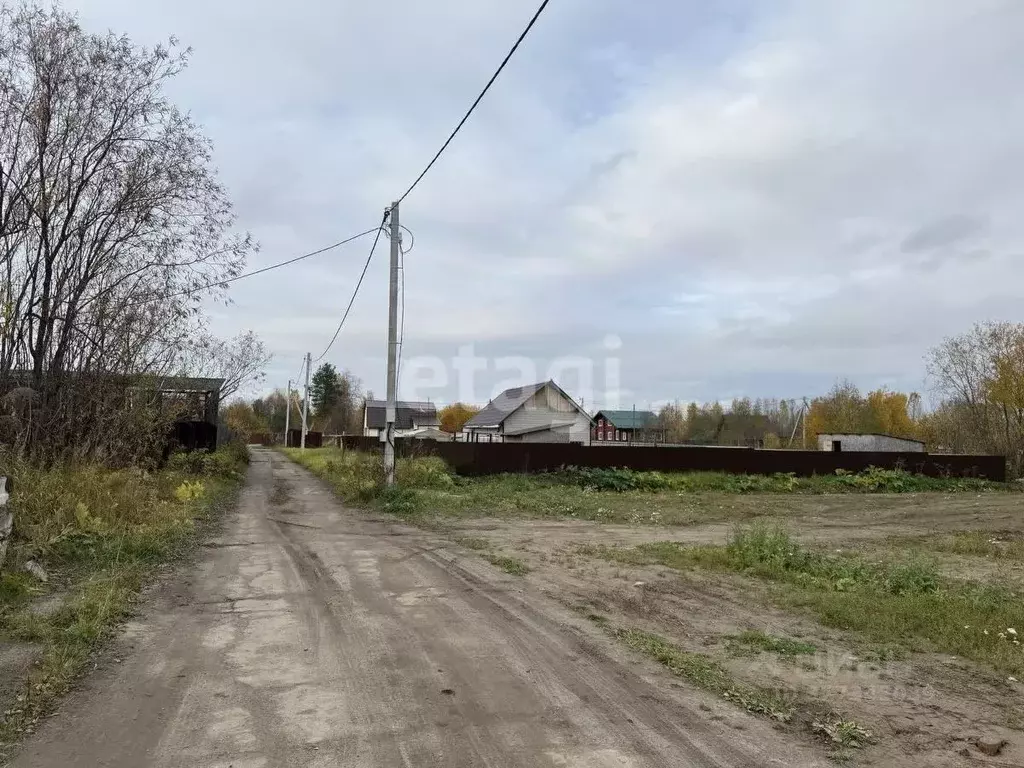 Участок в Архангельская область, Приморский муниципальный округ, д. ... - Фото 2