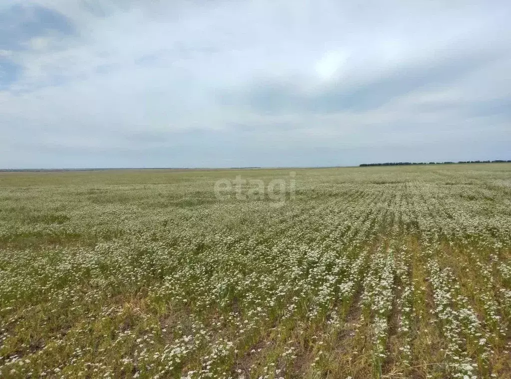 Участок в Крым, Сакский район, с. Штормовое ул. 60 лет Октября (5.0 ... - Фото 1