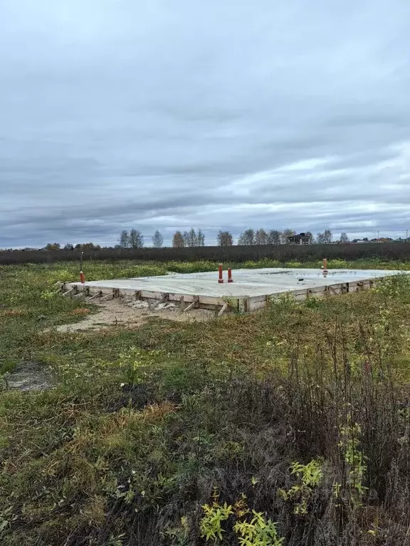 Участок в Костромская область, Костромской район, Шунгенское с/пос, д. ... - Фото 2