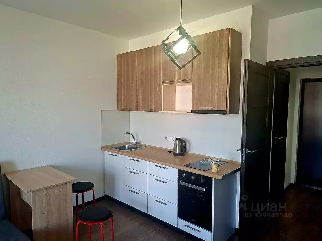 Студия Санкт-Петербург ул. Летчика Лихолетова, 14к2 (24.1 м) - Фото 2