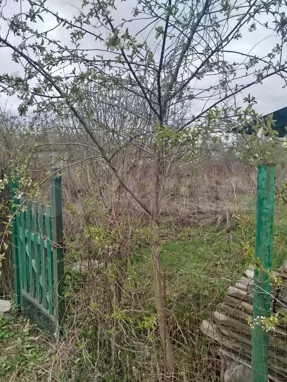 Участок 5 сот. (СНТ, ДНП) - Фото 0