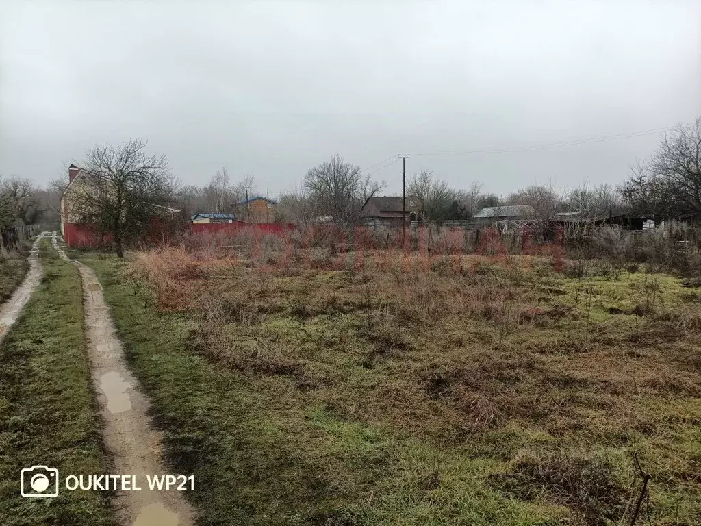 Участок в Ростовская область, Октябрьский район, Бессергеневское ... - Фото 1