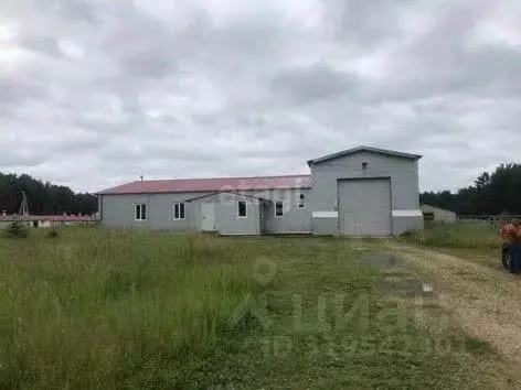 Склад в Калужская область, Юхновский район, Беляево с/пос, д. Беляево ... - Фото 1