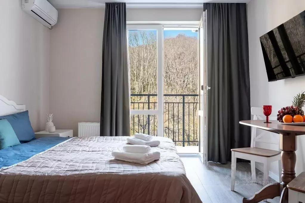 Студия Краснодарский край, Сочи ул. Искры, 88 (29.0 м) - Фото 1