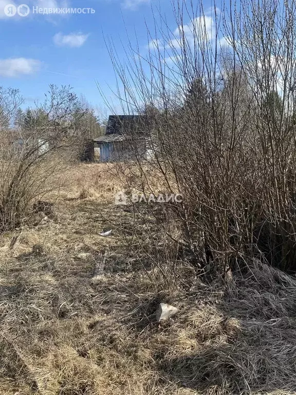 Участок в Ленинградская область, Гатчинский муниципальный округ, ... - Фото 1