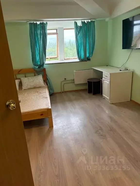 1-к кв. Московская область, Клин ул. Профсоюзная, 13к1 (25.0 м) - Фото 1