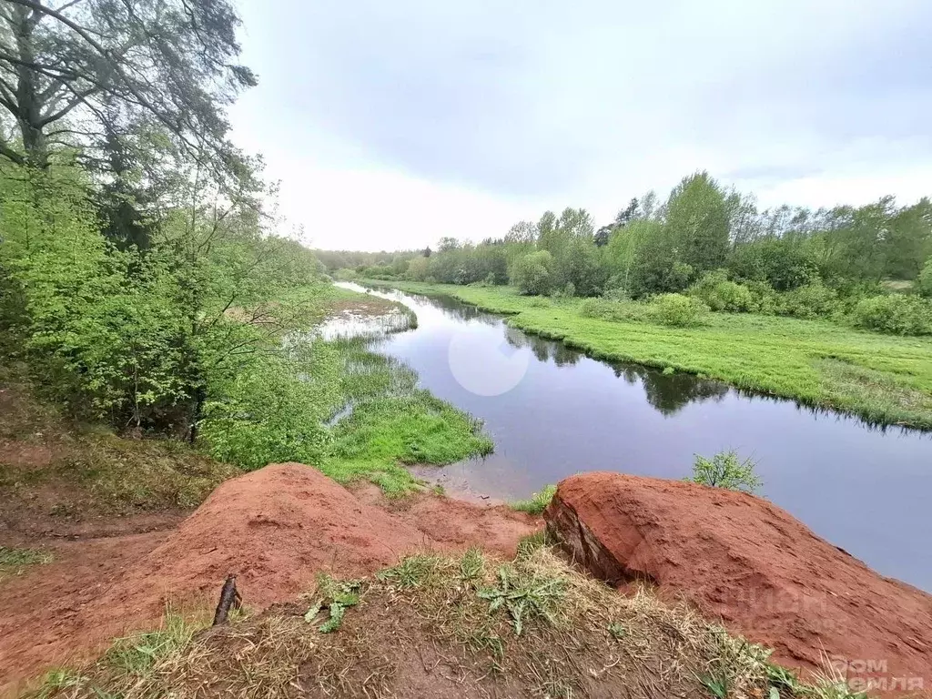Участок в Ленинградская область, Гатчинский район, д. Большево ... - Фото 0