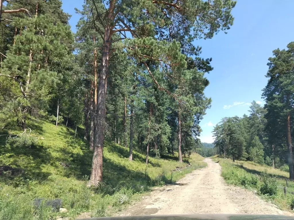 Участок в Алтай, Майминский район, с. Манжерок ул. Веселая (10.0 сот.) - Фото 2