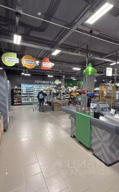 Торговая площадь в Санкт-Петербург ул. Пейзажная, 28к1 (643 м) - Фото 2