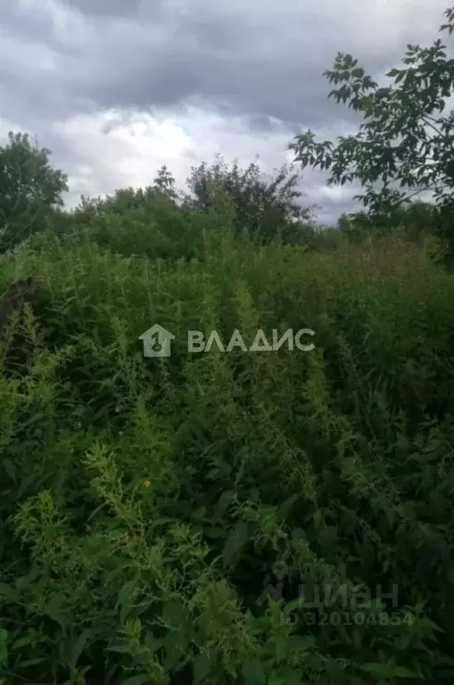 Дом в Кемеровская область, Кемерово Зашахтовая ул., 129 (38 м) - Фото 1