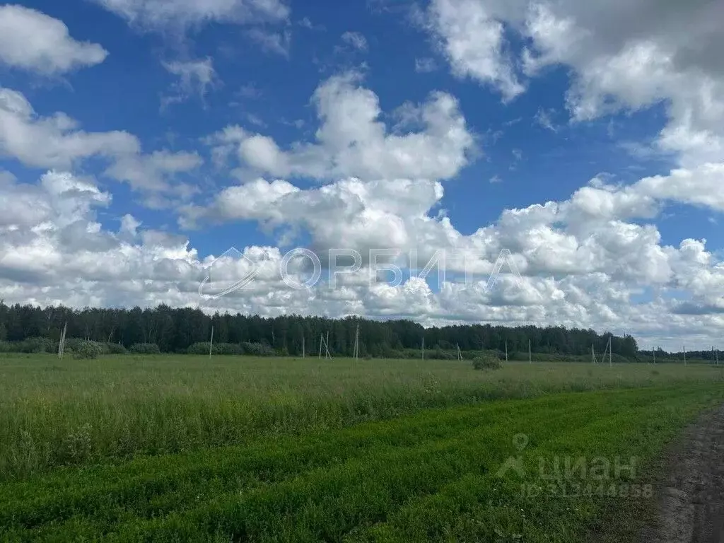 Участок в Тюменская область, Тюменский район, с. Червишево  (10.0 ... - Фото 1