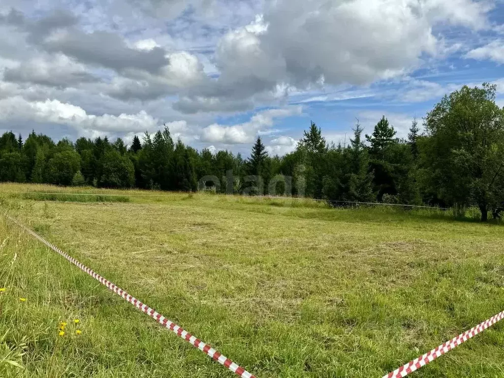 Участок в Пермский край, Добрянский муниципальный округ, с. Красная ... - Фото 1