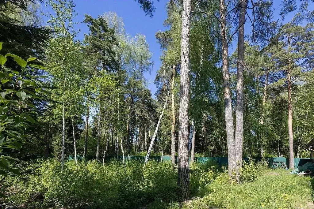 Участок в Московская область, Красногорск городской округ, д. ... - Фото 0