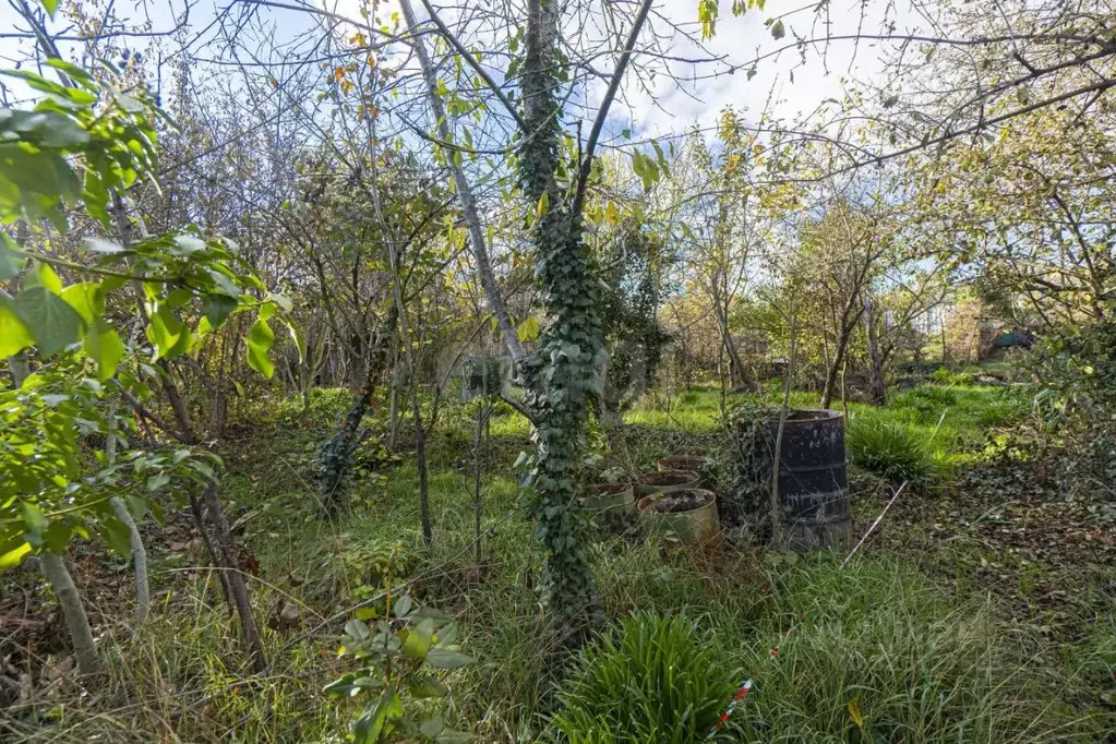 Участок в Севастополь Эра-1 садоводческое товарищество, 176 (8.62 ... - Фото 1