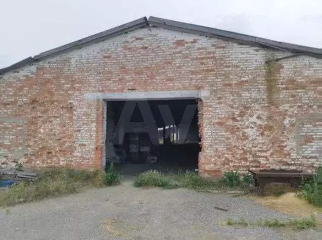 Помещения свободного назначения, 176470 м - Фото 1