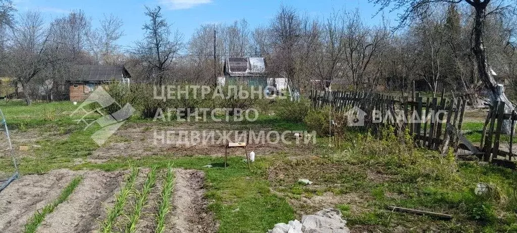Участок в Рязанская область, Рязань Химик-2 СТ, 177 (6.0 сот.) - Фото 1