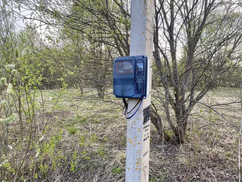 Участок в Владимирская область, Александровский муниципальный округ, ... - Фото 1