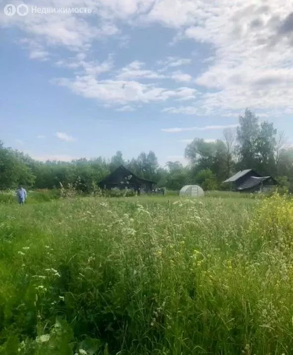 Участок в Тверская область, Кашинский муниципальный округ, деревня ... - Фото 1