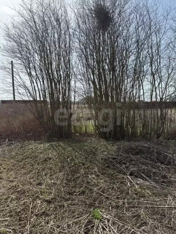 Участок в Ленинградская область, Волосовский район, Калитинское с/пос, ... - Фото 1