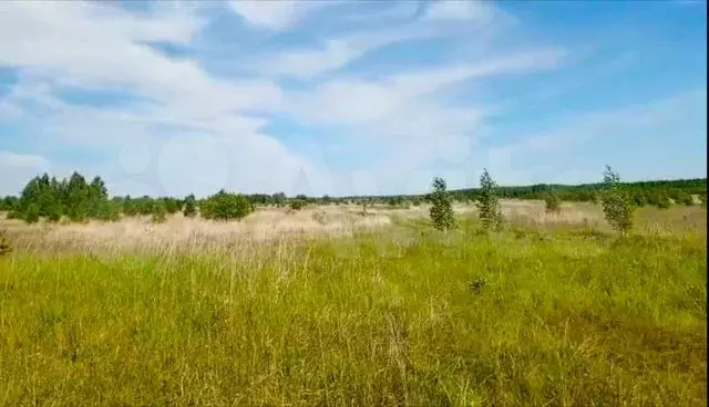 Участок 718,28 га (СНТ, ДНП) - Фото 0