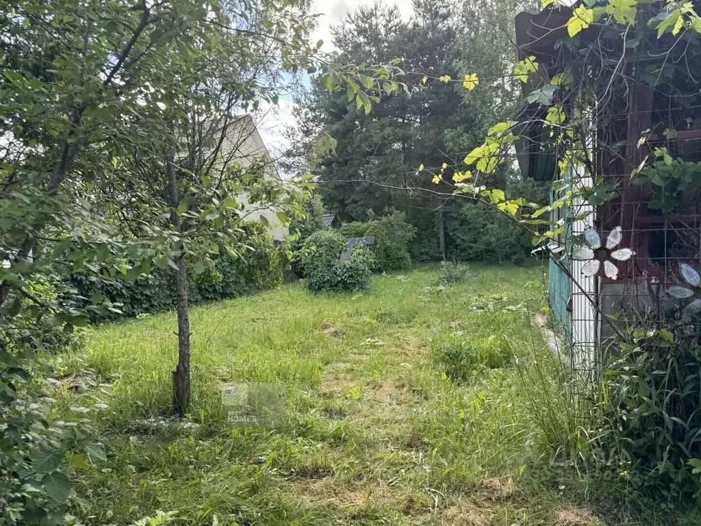 Участок в Москва Пролетарий-2 СНТ, 23 (6.13 сот.) - Фото 2