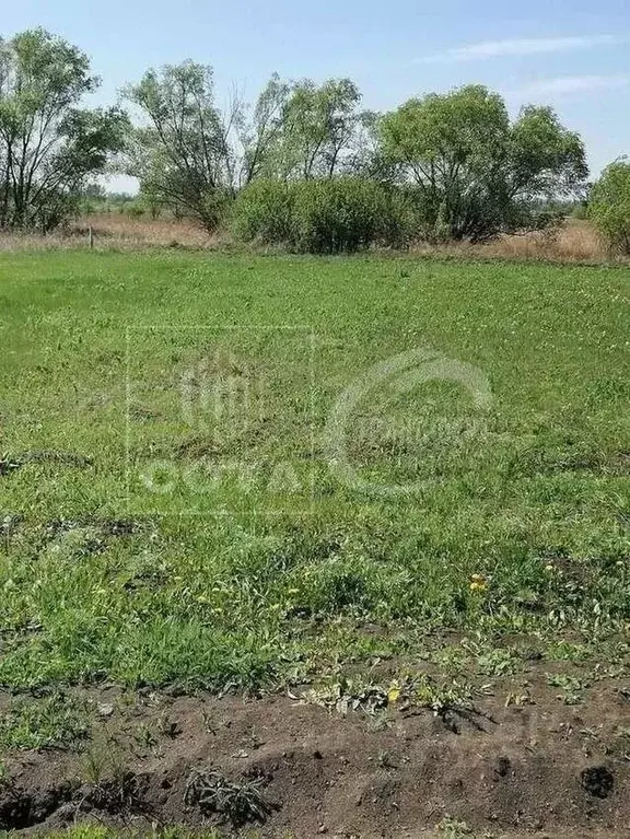 Участок в Воронежская область, Новоусманский район, Усманское 1-е ... - Фото 0