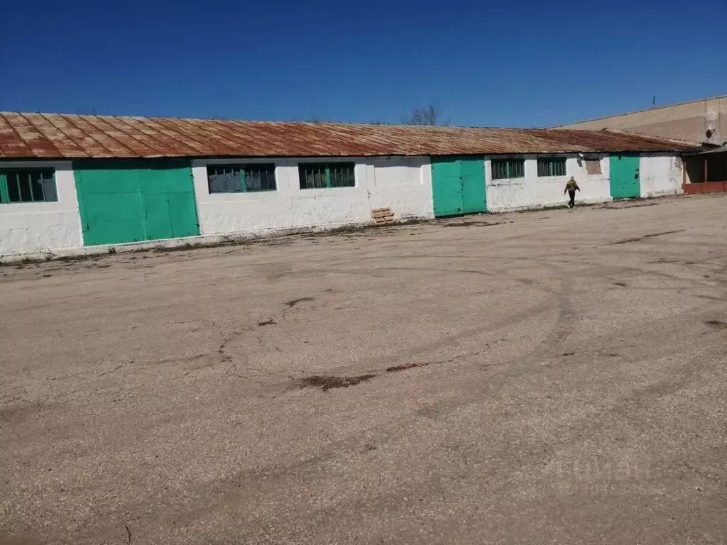 Склад в Самарская область, Похвистнево Революционная ул., 251А (2000 ... - Фото 1