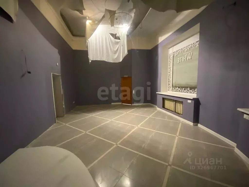 Помещение свободного назначения в Воронежская область, Воронеж ул. ... - Фото 2