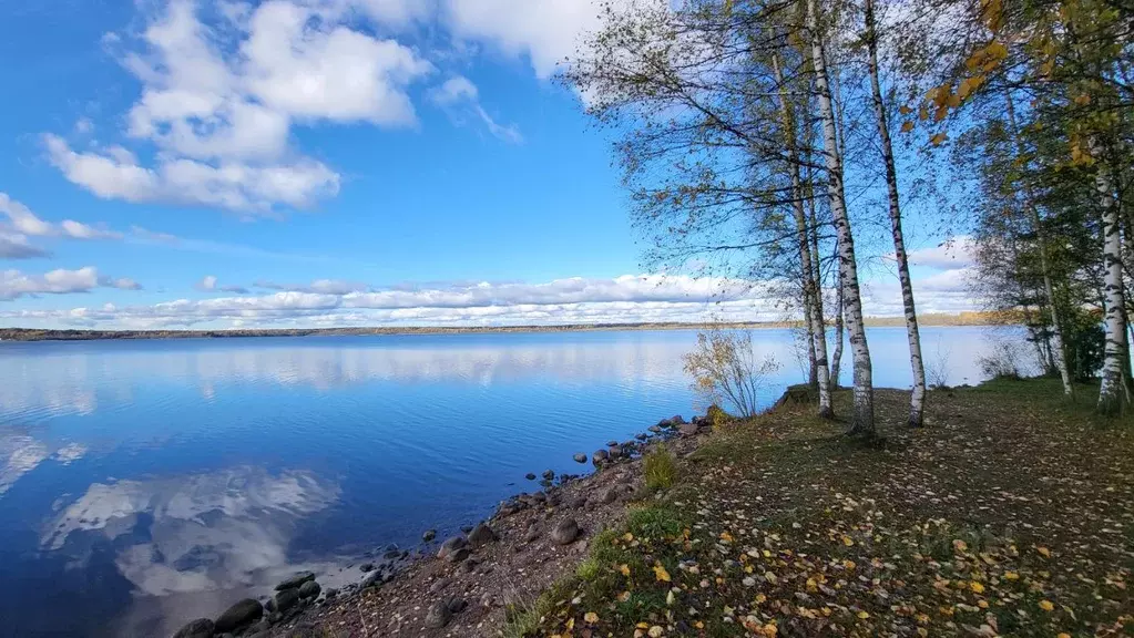 Помещение свободного назначения в Новгородская область, Валдайский ... - Фото 1