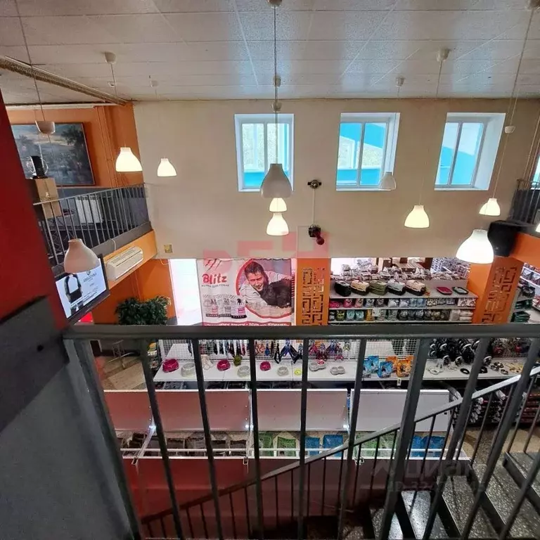 Помещение свободного назначения в Воронежская область, Воронеж ул. ... - Фото 2