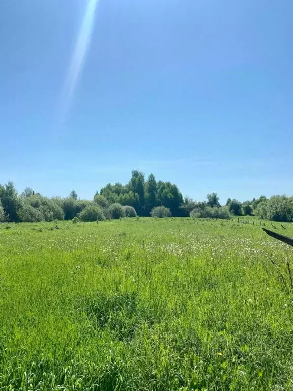 Участок в Кировская область, Сунский район, Кокуйское с/пос, д. ... - Фото 1