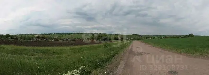 Участок в Калининградская область, Мамоновский городской округ, пос. ... - Фото 2