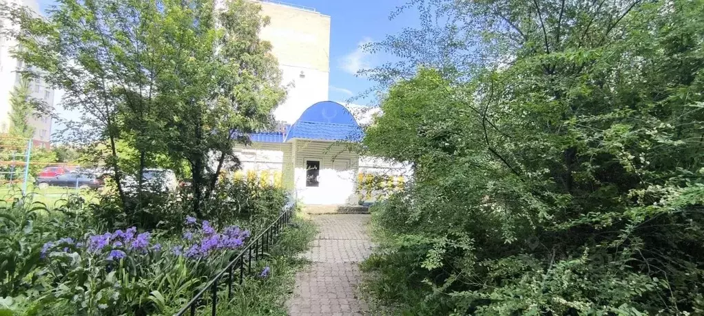 Торговая площадь в Оренбургская область, Оренбург ул. Кима, 8 (80 м) - Фото 1