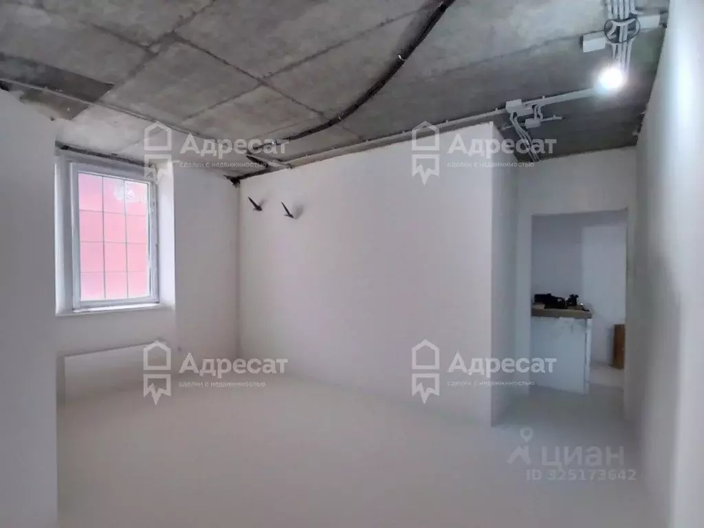 2-к кв. Волгоградская область, Волгоград ул. 70-летия Победы, 19А ... - Фото 1