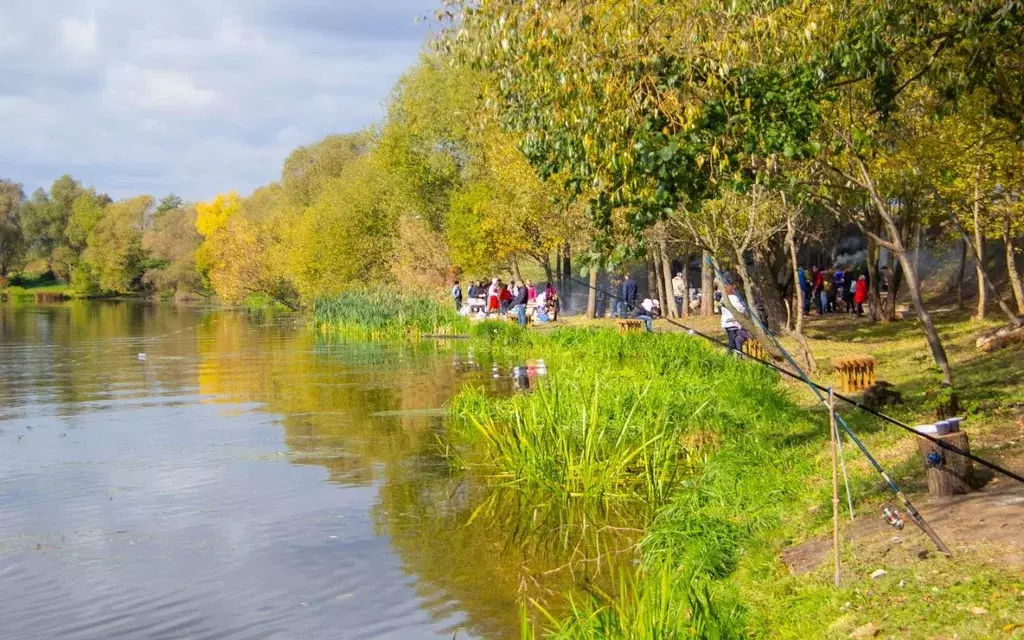 Участок в Московская область, Раменский муниципальный округ, Адмирал ... - Фото 2