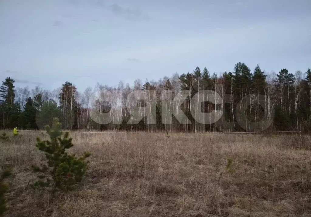 Участок 10 сот. (ИЖС) - Фото 0